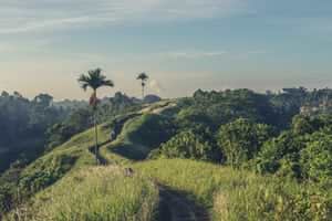 Explore the world