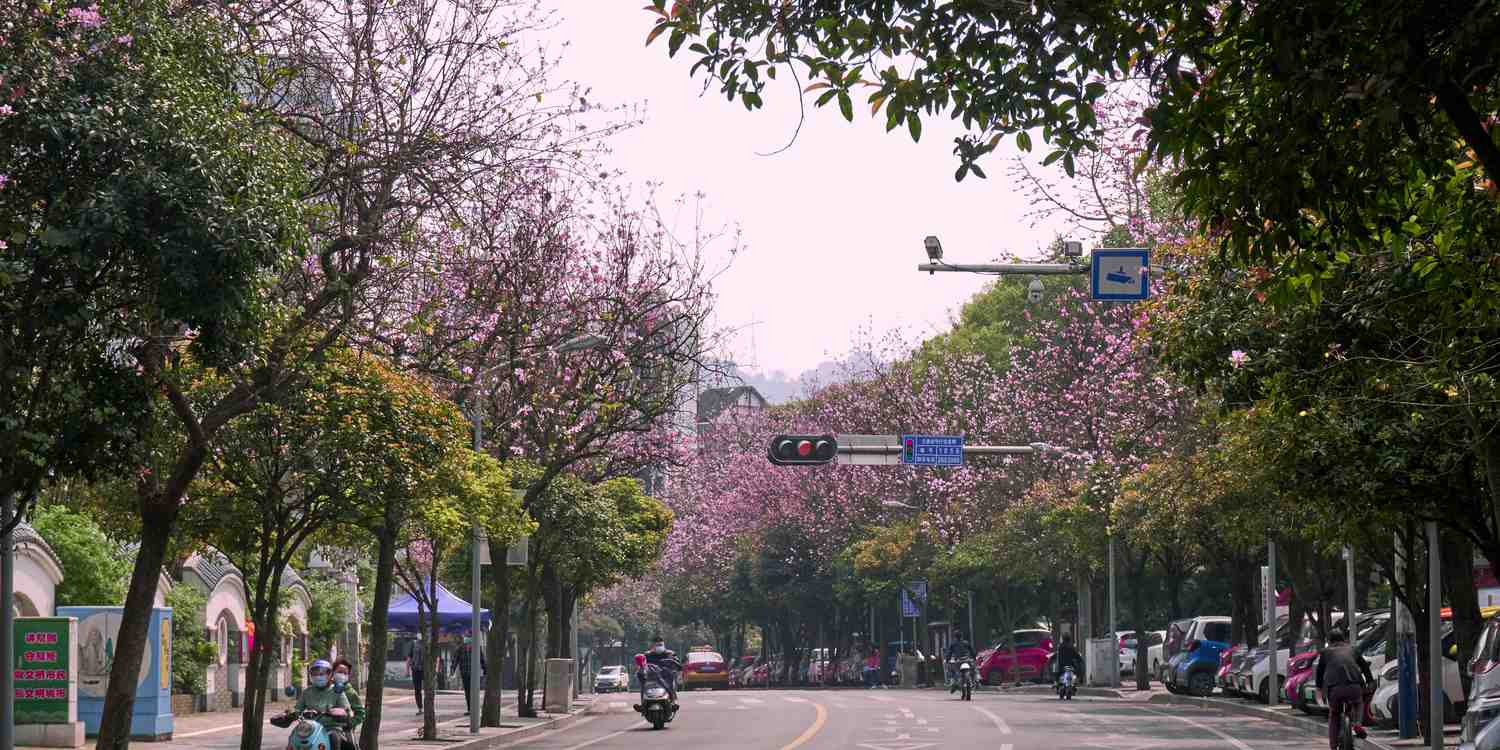 Background image of Liuzhou