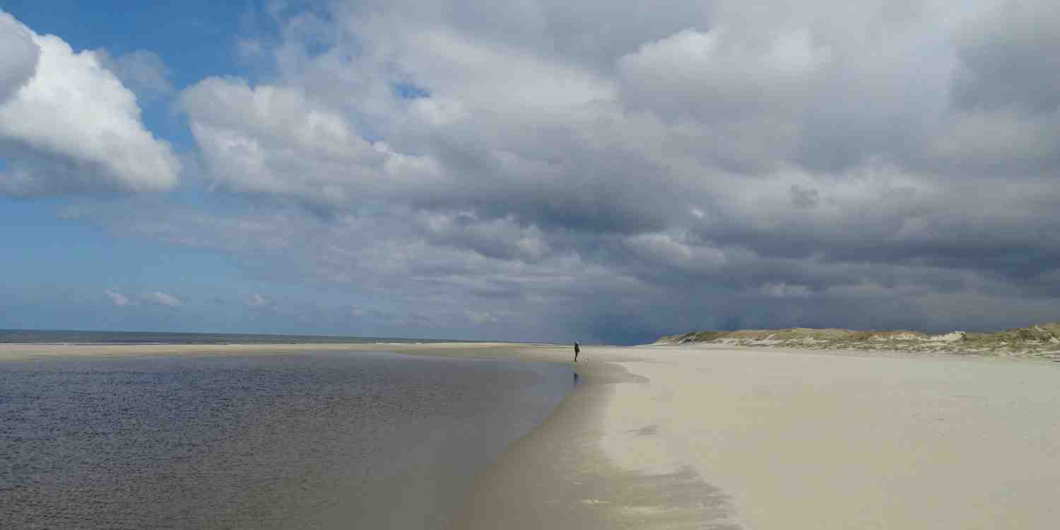 Background image of Texel