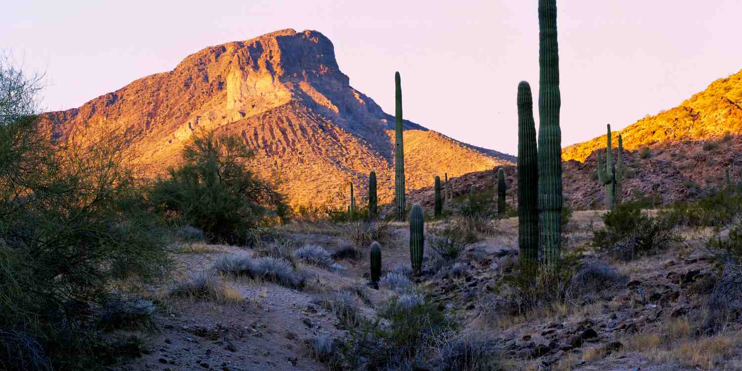 Background image of Tucson