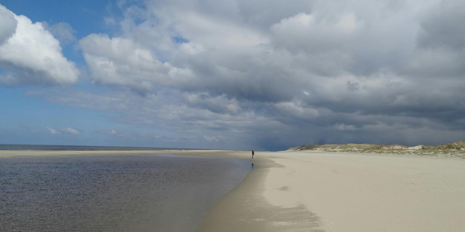 Background image of Texel
